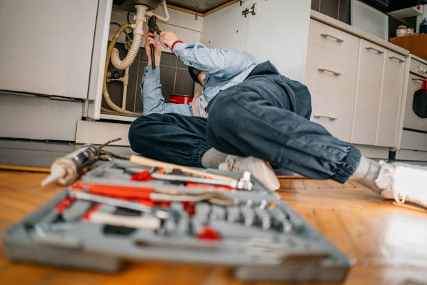 Best Septic Systems  in Lynwood, IL