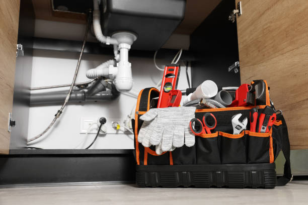 Best Plumbing Repair Near Me  in Lynwood, IL