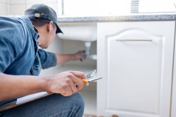 Best Affordable Plumbing Services  in Lynwood, IL