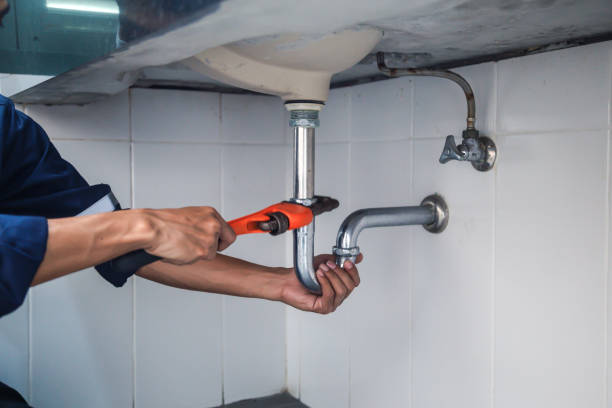 Best Sprinkler Systems  in Lynwood, IL