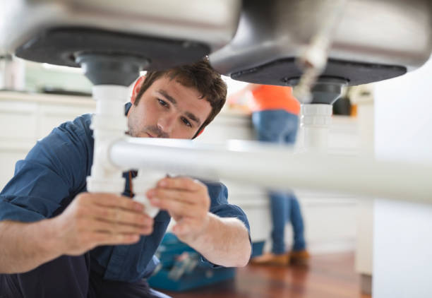 Best Local Plumber Services  in Lynwood, IL
